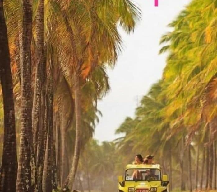 passeio de buggy — foto 5